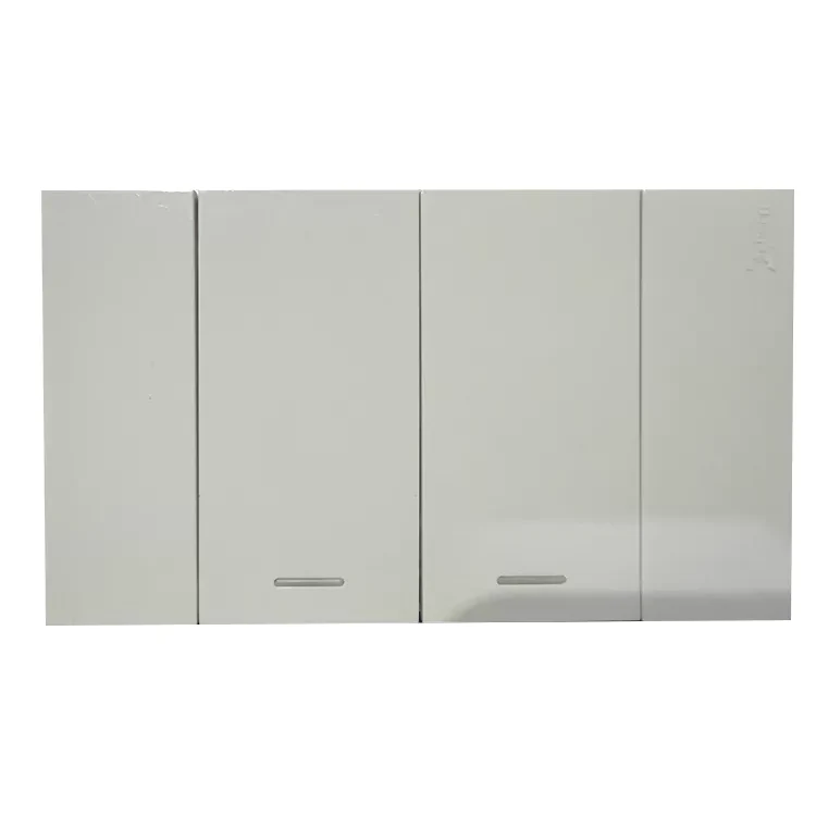 2-Gang 1-Way Switch Wall